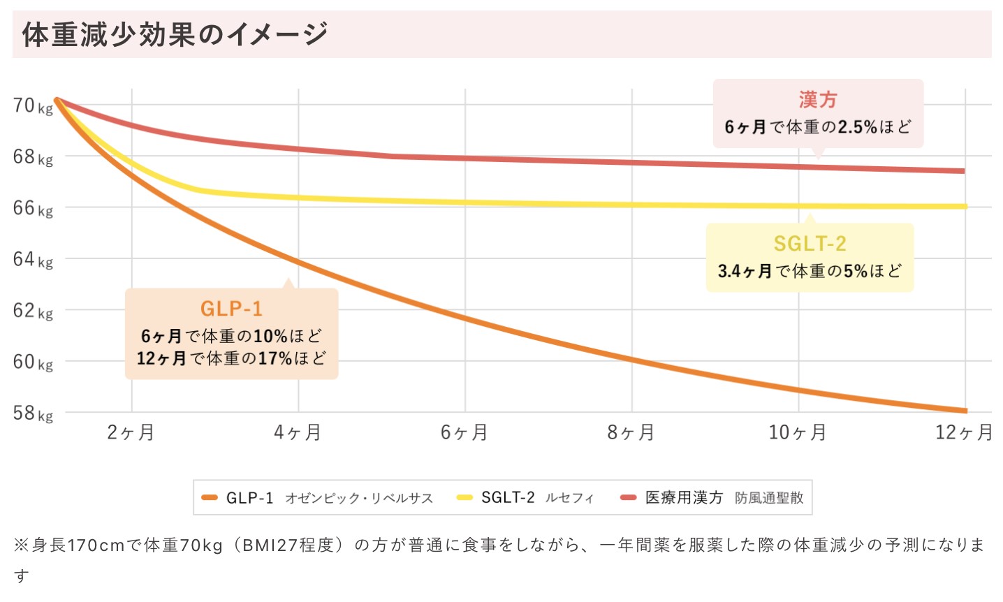 体重減少効果のイメージ　参照クリフォア